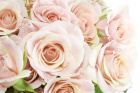 Aqua Bouquets invisible | Testing category with long text, category enabled and image uploaded | Upsell gifts | Upsell 3