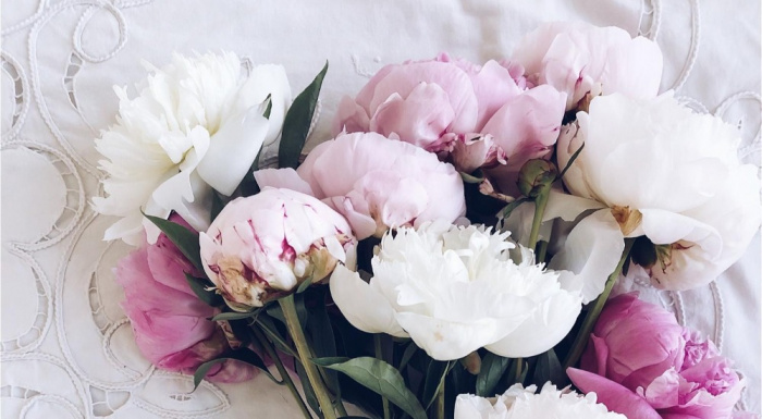 Arrangement's cat's test | Bouquets | Funeral delay item