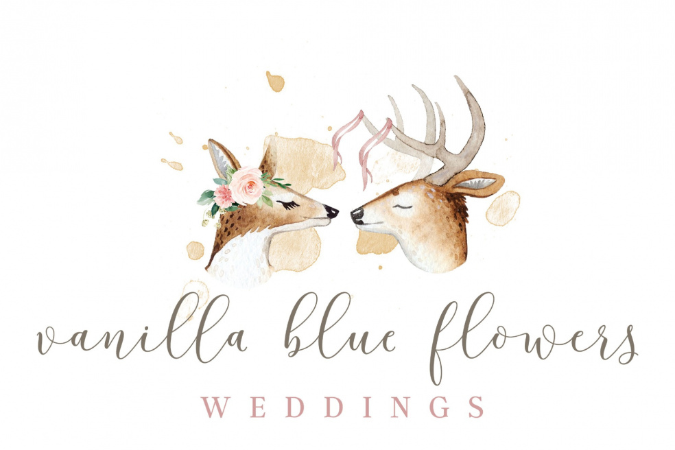 Test Vanilla Blues | Colchester | Weddings
