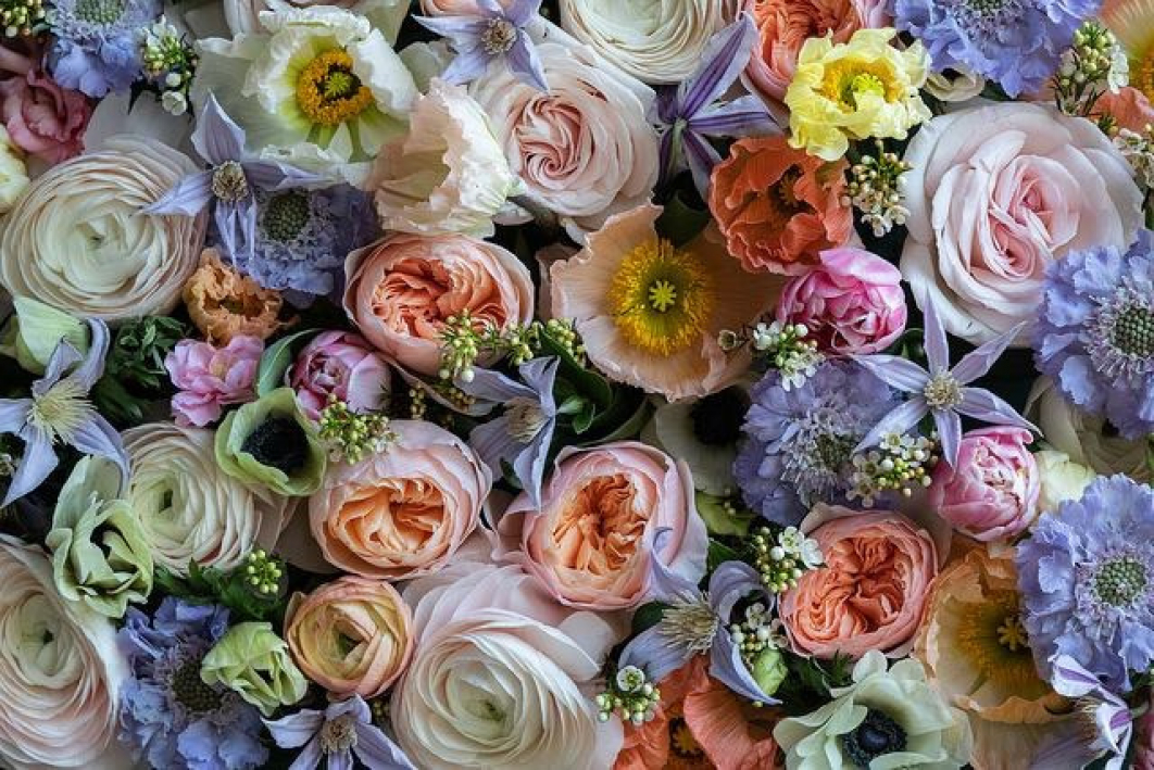 Test Vanilla Blues | Colchester | Home