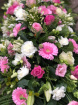 Casket Sprays | Funeral Flowers | Pink & White Coffin Spray