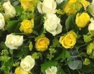 Casket Sprays | Funeral Flowers | Rose Coffin Spray