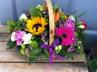 Floral Gift Collection | Same Day Delivery Collection  | Vanilla Blue's Basket Arrangement