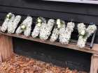 Funeral Flowers | Funeral Letter Tributes | Gypsophila Letters