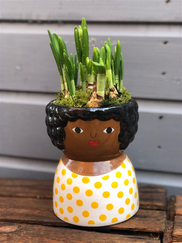 Plants | Same Day Delivery Collection  | Chantelle