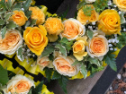 Funeral Flowers | Funeral Letter Tributes | Rose Letters