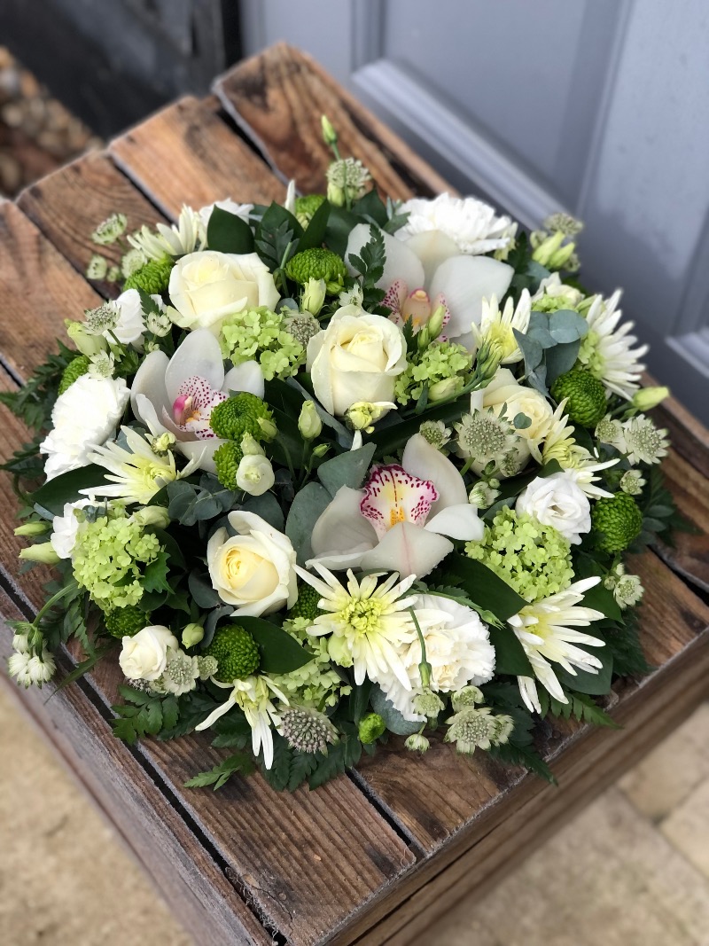 Test Vanilla Blues | Colchester | Contact