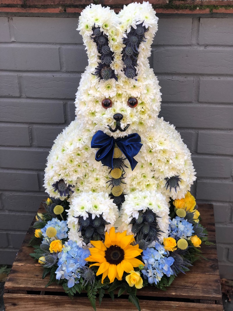 Test Vanilla Blues | Colchester | Contact