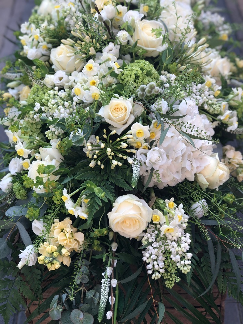 Test Vanilla Blues | Colchester | Contact