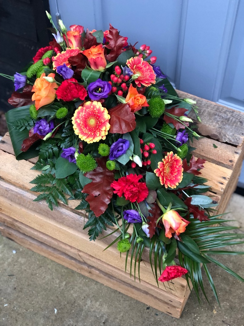 Test Vanilla Blues | Colchester | Contact