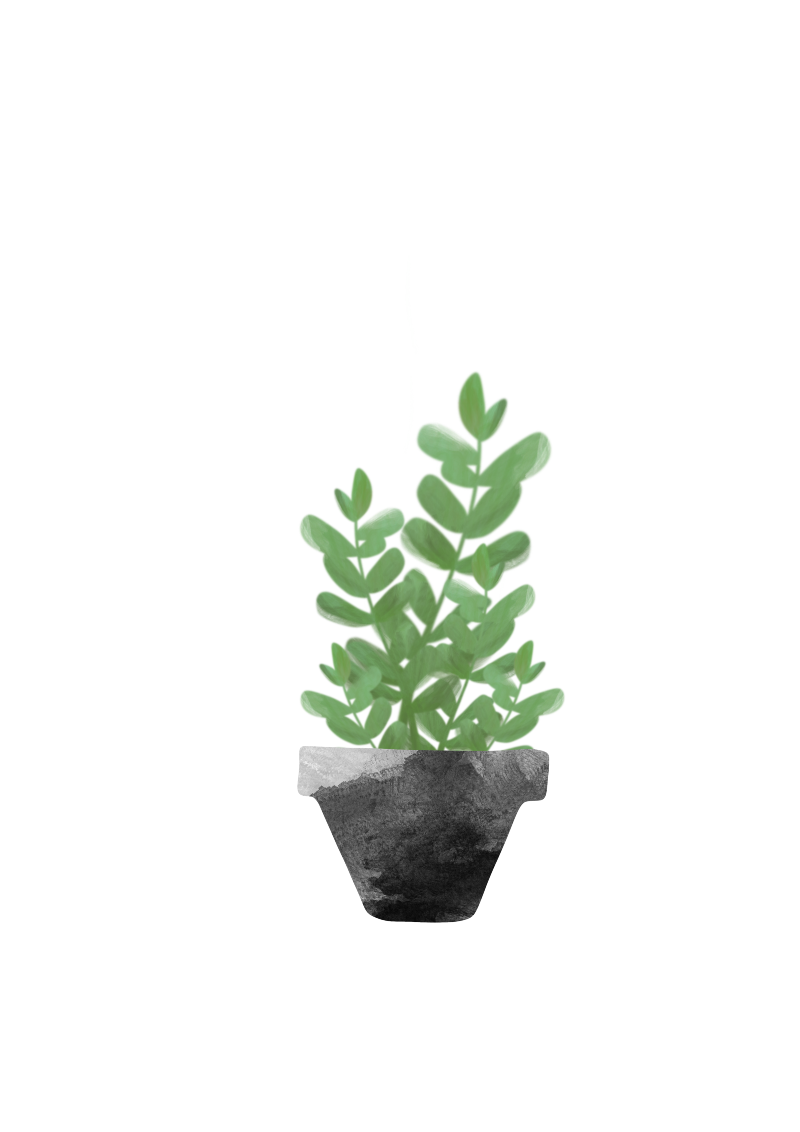 Test Vanilla Blues | Colchester | Contact