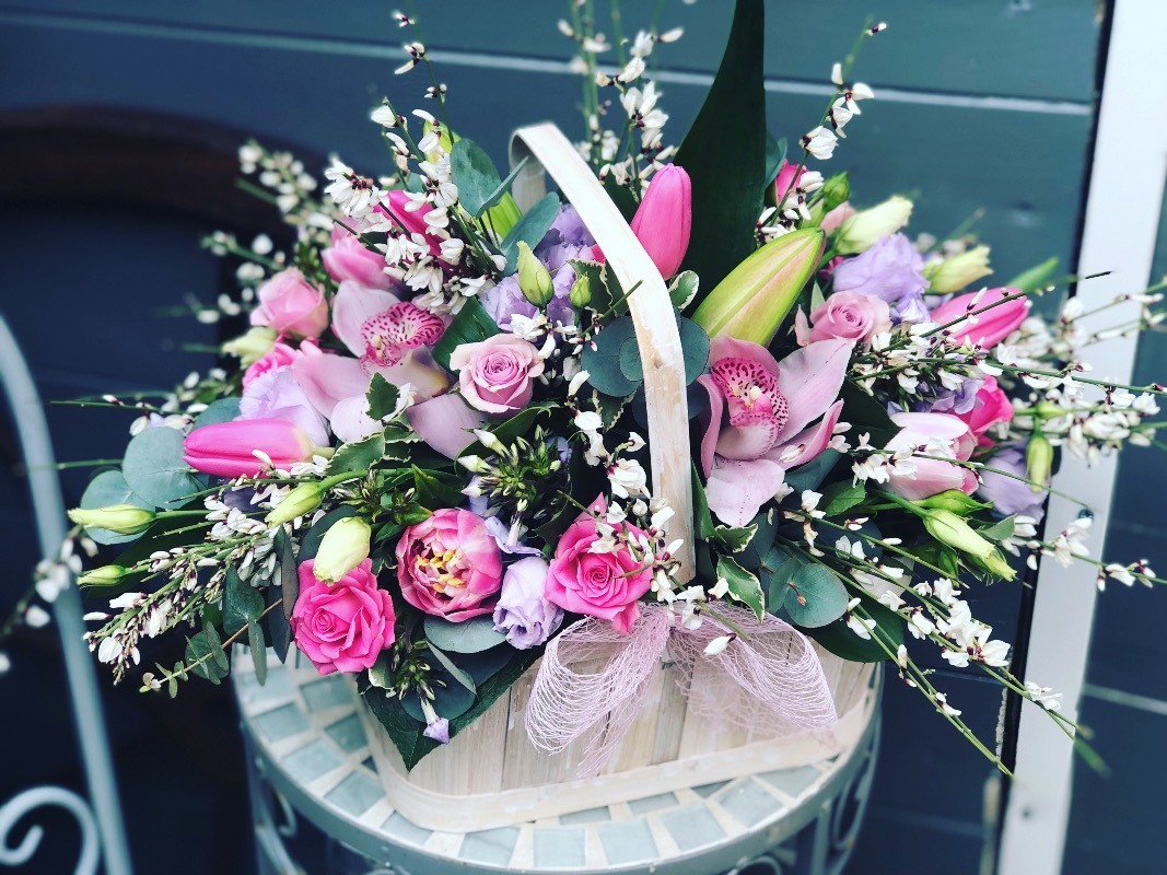 Test Vanilla Blues | Colchester | Contact