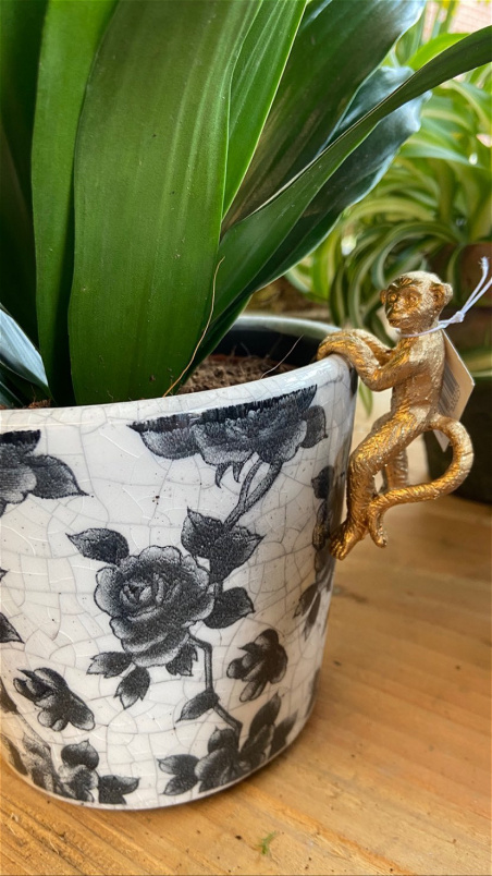 Gifts | Upsell gifts | Monkey Pot Hanger